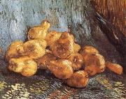 Vincent Van Gogh Still life tiwh Pears (nn04) oil on canvas